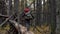 Little boy scout with backpack and rope during hiking in autumn forest. Child walking on a fallen log.