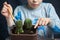 Little boy set down his houseplant cactus