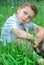 Little boy sits on a lawn of clover.