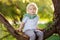 Little boy is sitting on a branch of big tree and is dreaming. Child`s games. Active family time on nature. Hiking with kids