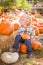 Little Boy Sitting and Holding His Pumpkin in a Rustic Ranch Setting at the Pumpkin Patch