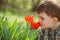 Little boy smelling tulip