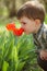 Little boy smelling tulip