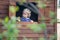 Little boy, standing in the window, playing with dinosaurs in a little wooden kids tree house, blurred tree branches