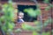 Little boy, standing in the window, playing with dinosaurs in a little wooden kids tree house, blurred tree branches