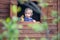 Little boy, standing in the window, playing with dinosaurs in a little wooden kids tree house, blurred tree branches