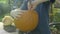 Little boy strokes spoonful Halloween creepy head. Child hands carve halloween pumpkin scarecrow.