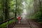 Little boy during stroll in foggy misterious park