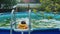 A little boy swimming in the inflatable swimming pool outdoors