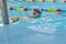 Little boy swimming in pool, kid in glass learning swim by crawls . Sport and hardening. Healthy mind. children`s