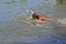 Little boy swims in the canal in the summer season