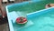 A little boy and a teenage girl frolic in the pool on inflatable circles.