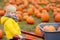 Little boy on a tour of a pumpkin farm at autumn. Child carries a wheelbarrow with pumpkins