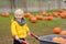 Little boy on a tour of a pumpkin farm at autumn. Child carries a wheelbarrow with pumpkins