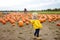 Little boy on a tour of a pumpkin farm at autumn. Child standing on large field with giant pumpkin