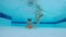 Little boy tries to take a toy at a pool, close up.
