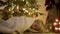 Little boy waiting Santa Claus under tree on Christmas Eve. Child is sleeping. Santa Claus brought gifts. Magic at Christmas and N