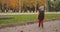 Little boy is walking in park at autumn day alone, cute toddler is strolling and rejoicing by weekend