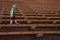 Little Boy Walking at Red Rocks Amphitheater