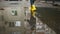 Little boy walks through the puddles in the spring after the rain