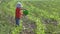 Little boy with water sprinkle take care of the green plants irrigate flower