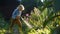 Little boy watering flower bed and playing with garden hose in sunny backyard