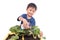 Little boy watering vegetable