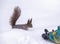 A little boy in winter feeds a squirrel with a nut