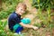 Little boy working with rake in garden. Child working in vegetable garden. Gardening