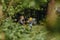 little boys with butterfly nets in countryside. Image with selective focus