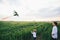 Little boys launching a kite on the wheat filed. Two brothers