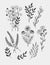 Little branches and florals for tiny tattoo, hand draw doodle sketch drawing