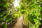 A little bridge with flowers in Giverny, Normandy, France