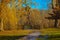 Little bridge in the park in autumn. colorful landscape after rain. puddles on the trail in the square.