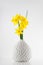 Little bright yellow Daffodils in a vase on white kitchen table