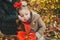 Little brother with love touch face of baby sister. Baby girl with red autumn leaves