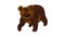 Little brown bear icon animation
