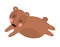 Little brown bear runs isolated on a white background. Cute print for the design of toys, clothes, shoes, goods for children. Wild