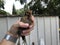 Little brown chicken.  man holds chicken in hand in farm