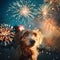 Little brown dog being scared by noisy fireworks, looking up