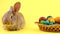 little brown fluffy bunny sitting on a pastel yellow background with a wooden basket full of ornate