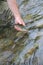 Little brown trout caught by fisherman