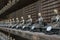 Little Buddha statues in Daisho-in temple on Miyajima