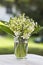 A little bunch of lilies of the valley, Convallaria majalis, in a glass vase