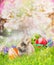 Little bunny with Easter eggs on grass over spring nature background of trees blossom.