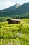 A little cabin in a field of wildflowers