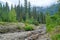 Little cabin sits surrounded by forest, fog, and stream.