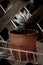 Little cactus in earthenware pot