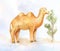 Little camel eating little bush in desert