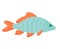 Little carp fish illustration. One single animal, side view, close up. Handdrawn graphic drawing on white background